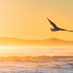 Balancing Independence With Newfound Curiosity