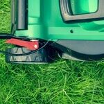 The Grass Is a Lot Longer on the Other Side