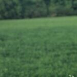 The Last Tie to an Ex