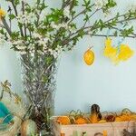 The Bare-Minimum Brunch Guest