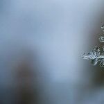 Laughing Off Accountability