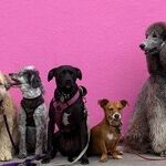 Choosing Peace Over an Endless Battle