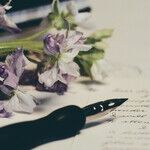 A Letter Left Without a Word