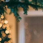 The Guests Who Stole Christmas