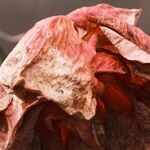 I Can't Be My Grieving Mother's Caregiver