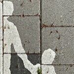 Their Stepmother Oversteps