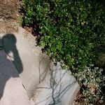 Secret Facebook Account