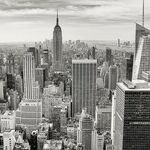 Friends in a Big City