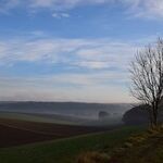 Distraught by Estrangement
