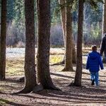 Abusive Mom With Joint Custody