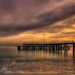 Grief and Loss