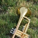 Trumpeter in Turmoil