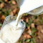 When Does Milk Go Bad?