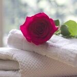 Tipping Housekeepers