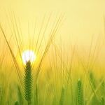 Hope for Those With Eating Disorders