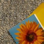 Acknowledging an Empty Card