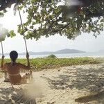 Employed but Wanting to Travel