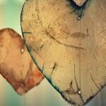 Sad Valentine's Day Memories