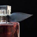 Scent-sitive