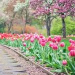 Spring Is in the Air