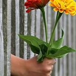 When Generosity Turns Into Resentment