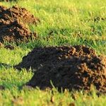 Making Mountains Out of Molehills