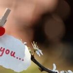 Protecting Your Heart or Hiding From Potential Relationship