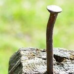 Still Healing From the Traumas of Addiction