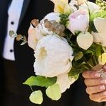 Disappearing Daughter-In-Law