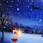 Happy Christmas to All!