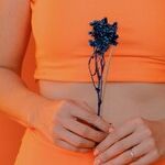 Digestive Issues Hurting Both Mom and Daughter