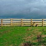 Keeping Clear Boundaries