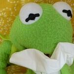 Have My Hankie