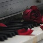 A Distant Companion