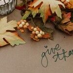 Rediscovering the Magic of the Holidays