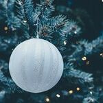 Christmas Party Drama