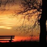 Husband Wants to Reconcile After Affair