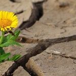 Choosing Positivity