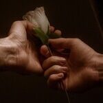 Hoping for a Passionate Love