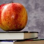 Hyper-Involved School Administrators
