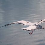 Daughter Spreads Her Wings