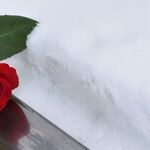 Is There Hope With My Ex-Husband?