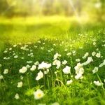 I Can't Continue Being a Caregiver