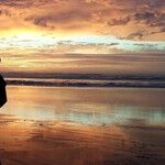 A Fatherless Father's Day