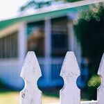 Neighbor No More