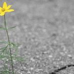 Feeling Forgotten by Family