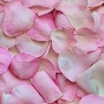 Is My Online Romance Going Anywhere?