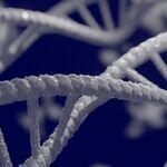 DNA Site Sparks Fresh Family Drama