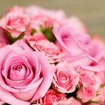 A New Way to Honor Loved Ones