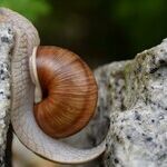 Facing Obstacles When Making Friends